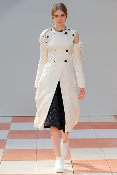 Look 29